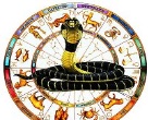 sarpa dosha nivarana pooja