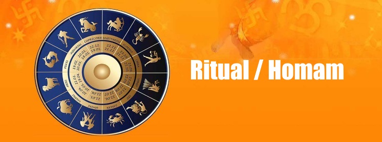 indian vedic astrologer padmas ganesh